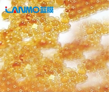 離子交換樹脂鐵污染現(xiàn)象-羅門哈斯網(wǎng)